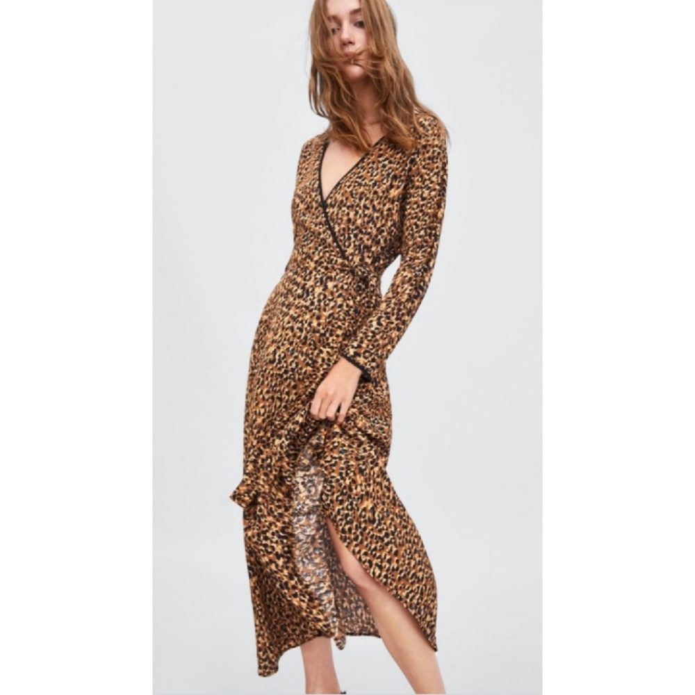 Zara dress
